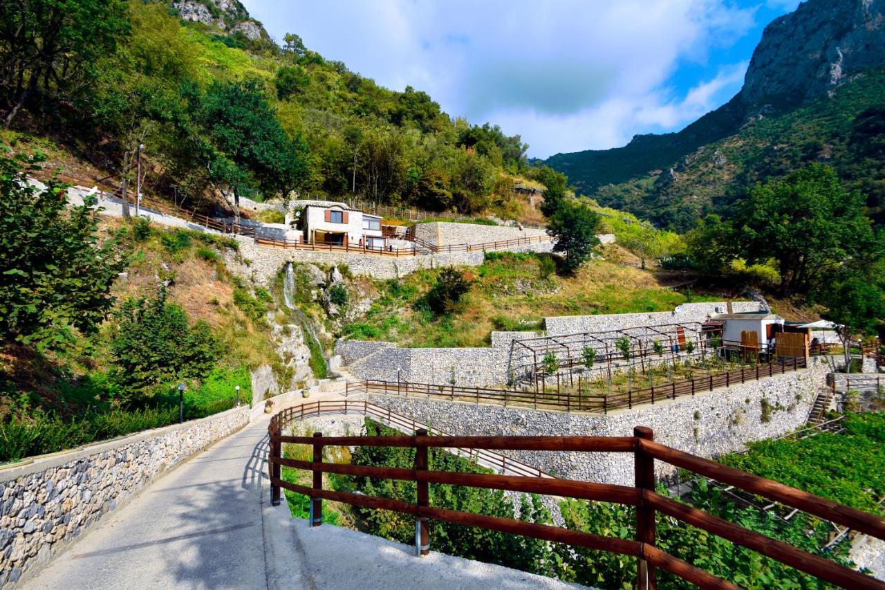 Tenuta Bosco-Casa Vacanze سيتارا المظهر الخارجي الصورة