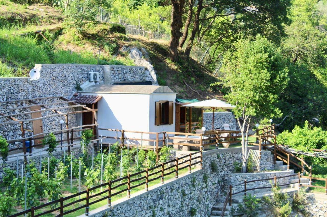 Tenuta Bosco-Casa Vacanze سيتارا المظهر الخارجي الصورة