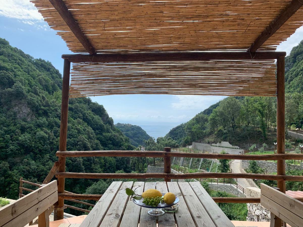 Tenuta Bosco-Casa Vacanze سيتارا المظهر الخارجي الصورة