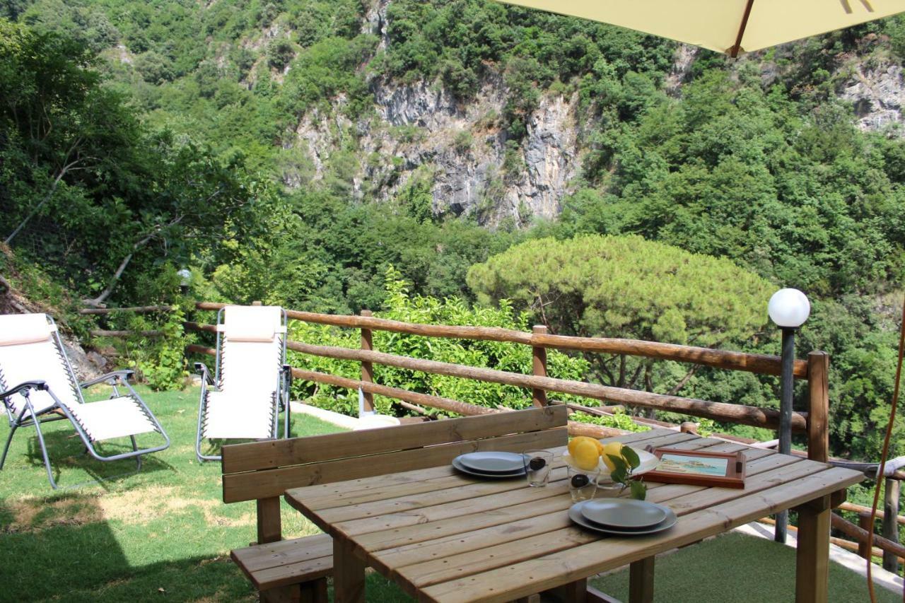 Tenuta Bosco-Casa Vacanze سيتارا المظهر الخارجي الصورة