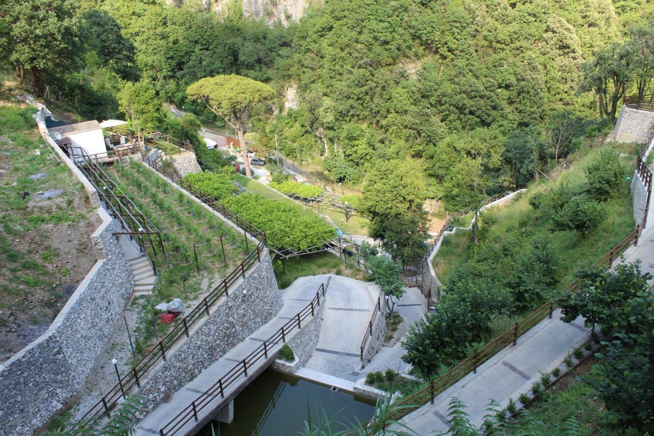Tenuta Bosco-Casa Vacanze سيتارا المظهر الخارجي الصورة