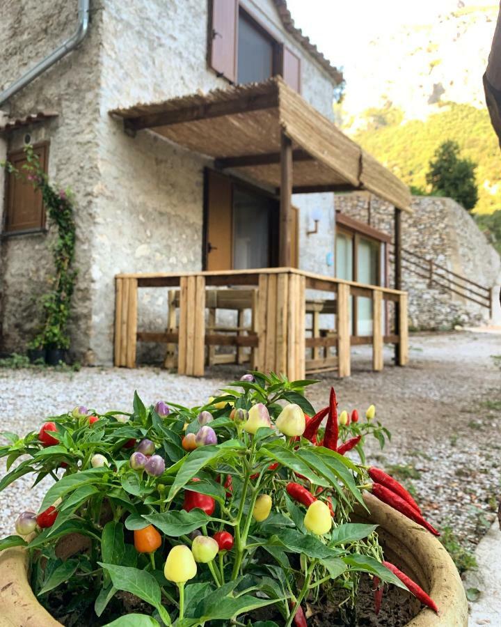 Tenuta Bosco-Casa Vacanze سيتارا المظهر الخارجي الصورة